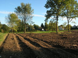  <a style='color: #fff;' href='/uploaded/photo/defrichement-a-fourqueux-aout-2014-543e814778e88.jpg'>(Télécharger)</a>