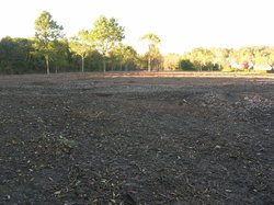  <a style='color: #fff;' href='/uploaded/photo/defrichement-a-fourqueux-aout-2014-543e815375f73.jpg'>(Télécharger)</a>