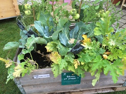  <a style='color: #fff;' href='/uploaded/photo/demain-57dd788f0c9f8.jpg'>(Télécharger)</a>