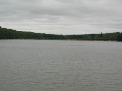  <a style='color: #fff;' href='/uploaded/photo/etang-de-st-hubert-5f04714d63070.jpg'>(Télécharger)</a>