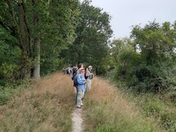  <a style='color: #fff;' href='/uploaded/photo/etang-de-st-hubert-5f0471653618b.jpg'>(Télécharger)</a>