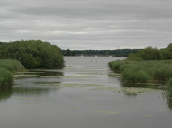  <a style='color: #fff;' href='/uploaded/photo/etang-de-st-hubert-5f04716b2e686.jpg'>(Télécharger)</a>