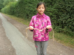  <a style='color: #fff;' href='/uploaded/photo/etang-de-st-hubert-5f04716e6003d.jpg'>(Télécharger)</a>