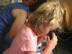  <a style='color: #fff;' href='/uploaded/photo/etranges-habitants-du-sol-5b0ae54a00705.jpg'>(Télécharger)</a>