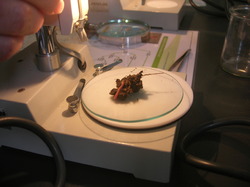  <a style='color: #fff;' href='/uploaded/photo/etranges-habitants-du-sol-5b0ae54d45a3c.jpg'>(Télécharger)</a>