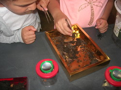  <a style='color: #fff;' href='/uploaded/photo/etranges-habitants-du-sol-5b0ae54d829d4.jpg'>(Télécharger)</a>