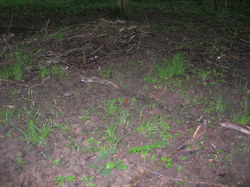  <a style='color: #fff;' href='/uploaded/photo/fete-de-la-nature-25-mai-2014-53ff2e54a2b09.jpg'>(Télécharger)</a>