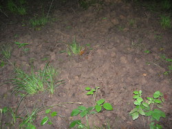  <a style='color: #fff;' href='/uploaded/photo/fete-de-la-nature-25-mai-2014-53ff2e8568945.jpg'>(Télécharger)</a>