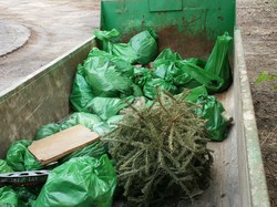  <a style='color: #fff;' href='/uploaded/photo/foret-propre-5cab9ab1b9bcd.jpg'>(Télécharger)</a>