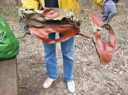  <a style='color: #fff;' href='/uploaded/photo/foret-propre-5cab9b0388d87.jpg'>(Télécharger)</a>