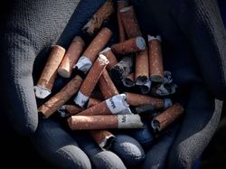  <a style='color: #fff;' href='/uploaded/photo/foret-propre-5cab9b5338c81.jpg'>(Télécharger)</a>