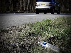  <a style='color: #fff;' href='/uploaded/photo/foret-propre-5cab9b53f0852.jpg'>(Télécharger)</a>