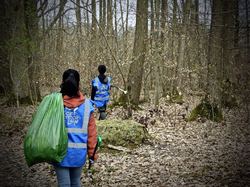  <a style='color: #fff;' href='/uploaded/photo/foret-propre-5cab9b54099bd.jpg'>(Télécharger)</a>