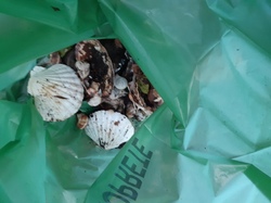  <a style='color: #fff;' href='/uploaded/photo/foret-propre-6169880ec9b09.jpg'>(Télécharger)</a>