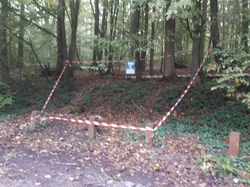  <a style='color: #fff;' href='/uploaded/photo/foret-propre-6169881155c2d.jpg'>(Télécharger)</a>