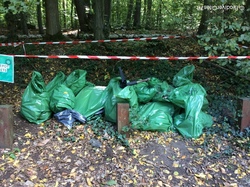  <a style='color: #fff;' href='/uploaded/photo/foret-propre-8-10-22-6343f3ca68ac1.jpg'>(Télécharger)</a>