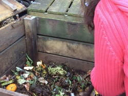  <a style='color: #fff;' href='/uploaded/photo/initiation-au-compost-58d91cdf6091a.jpg'>(Télécharger)</a>