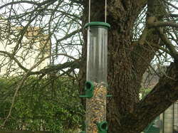  <a style='color: #fff;' href='/uploaded/photo/jardin-refuge-5e2dcfa92cec7.jpg'>(Télécharger)</a>