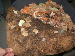  <a style='color: #fff;' href='/uploaded/photo/l-aventure-0-dechet-583ae48260443.jpg'>(Télécharger)</a>