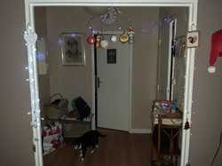  <a style='color: #fff;' href='/uploaded/photo/lutins-malins-5ffdfc3ac3c77.jpg'>(Télécharger)</a>