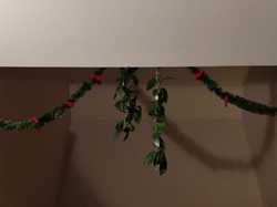  <a style='color: #fff;' href='/uploaded/photo/lutins-malins-5ffdfc3ac80ea.jpg'>(Télécharger)</a>