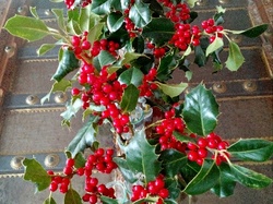  <a style='color: #fff;' href='/uploaded/photo/lutins-malins-5ffdfc576c195.jpg'>(Télécharger)</a>