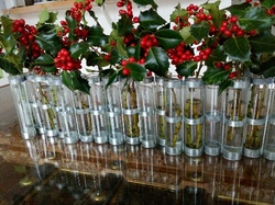  <a style='color: #fff;' href='/uploaded/photo/lutins-malins-5ffdfc57797de.jpg'>(Télécharger)</a>