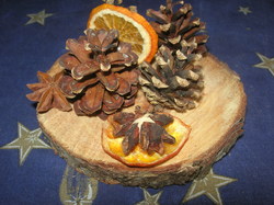  <a style='color: #fff;' href='/uploaded/photo/lutins-malins-5ffdff22b1b32.jpg'>(Télécharger)</a>