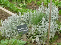  <a style='color: #fff;' href='/uploaded/photo/magny-les-hameaux-51c5a23ef11bd.jpg'>(Télécharger)</a>