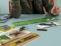  <a style='color: #fff;' href='/uploaded/photo/magny-les-hameaux-51c5a28f7be99.jpg'>(Télécharger)</a>