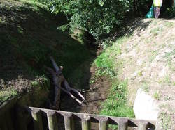  <a style='color: #fff;' href='/uploaded/photo/nettoyage-de-foret-51113cf60f122.jpg'>(Télécharger)</a>