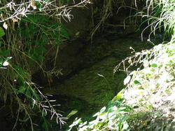  <a style='color: #fff;' href='/uploaded/photo/nettoyage-de-foret-51113d300ab28.jpg'>(Télécharger)</a>