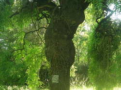  <a style='color: #fff;' href='/uploaded/photo/parc-d-agroparistech-5d063d5dee200.jpg'>(Télécharger)</a>