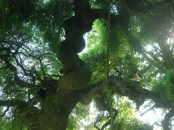  <a style='color: #fff;' href='/uploaded/photo/parc-d-agroparistech-5d063d5e25a25.jpg'>(Télécharger)</a>