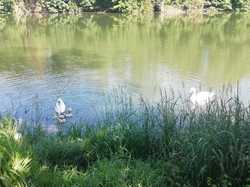 Par Catherine <a style='color: #fff;' href='/uploaded/photo/pendant-le-confinement-5ede2be0637ad.jpg'>(Télécharger)</a>