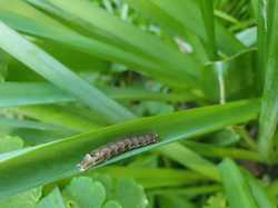 Chez Lucie <a style='color: #fff;' href='/uploaded/photo/pendant-le-confinement-5ede2c30a226a.jpg'>(Télécharger)</a>