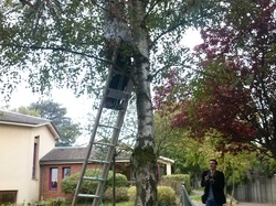  <a style='color: #fff;' href='/uploaded/photo/pose-des-nichoirs-a-l-ecole-525430bef28fb.jpg'>(Télécharger)</a>