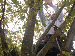  <a style='color: #fff;' href='/uploaded/photo/pose-des-nichoirs-a-l-ecole-525430f24efc0.jpg'>(Télécharger)</a>