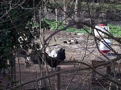  <a style='color: #fff;' href='/uploaded/photo/rando-boussole-davron-6058d6569af28.jpg'>(Télécharger)</a>