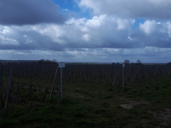  <a style='color: #fff;' href='/uploaded/photo/rando-boussole-davron-6058d65f8f600.jpg'>(Télécharger)</a>