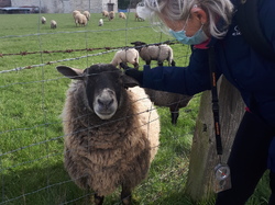  <a style='color: #fff;' href='/uploaded/photo/rando-boussole-davron-6058d66a47468.jpg'>(Télécharger)</a>