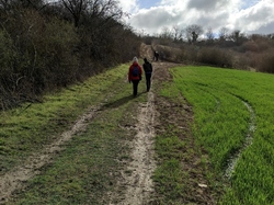  <a style='color: #fff;' href='/uploaded/photo/rando-boussole-davron-6058d7c2f36af.jpg'>(Télécharger)</a>