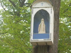  <a style='color: #fff;' href='/uploaded/photo/randonnee-a-la-boussole-5bd5d7cb69cab.jpg'>(Télécharger)</a>