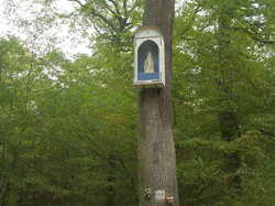 Joli petit oratoire Notre-Dame du Bon Secours <a style='color: #fff;' href='/uploaded/photo/randonnee-a-la-boussole-5bd5d7cb7a72e.jpg'>(Télécharger)</a>