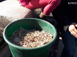 Broyat de miscanthus prêt à l'emploi. Conditionnée en pack de 15kgs <a style='color: #fff;' href='/uploaded/photo/randonnee-a-la-boussole-autour-de-montainville-5c73c8c9c79bf.jpg'>(Télécharger)</a>