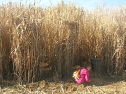  <a style='color: #fff;' href='/uploaded/photo/randonnee-a-la-boussole-autour-de-montainville-5c73c8c9dc60d.jpg'>(Télécharger)</a>