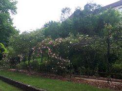  <a style='color: #fff;' href='/uploaded/photo/rendez-vous-au-jardin-60bd0a6dc936f.jpg'>(Télécharger)</a>