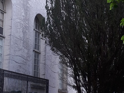  <a style='color: #fff;' href='/uploaded/photo/rendez-vous-au-jardin-60bd0a75f2a2e.jpg'>(Télécharger)</a>