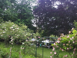  <a style='color: #fff;' href='/uploaded/photo/rendez-vous-au-jardin-60bd0a7726878.jpg'>(Télécharger)</a>