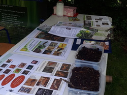  <a style='color: #fff;' href='/uploaded/photo/rendez-vous-au-jardin-60bd0a80b1a3c.jpg'>(Télécharger)</a>